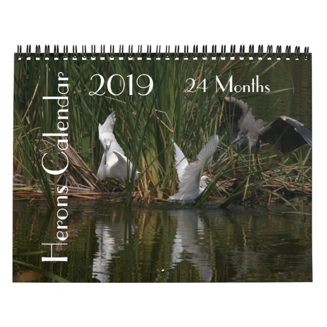 Calendrier des animaux 2019 de faune d'oiseaux de (Protection)