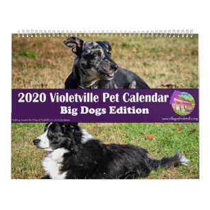 Calendrier des animaux de compagnie de Violetville