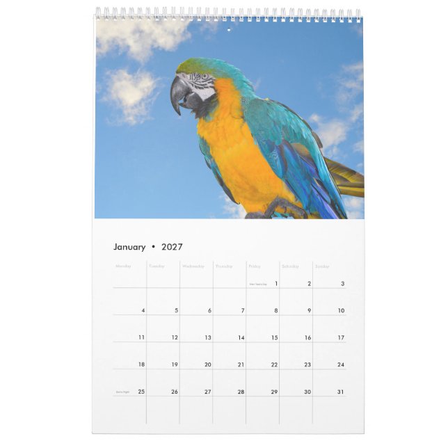 Calendrier des animaux et des oiseaux mixtes (Jan 2027)