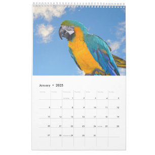Calendrier des animaux et des oiseaux mixtes
