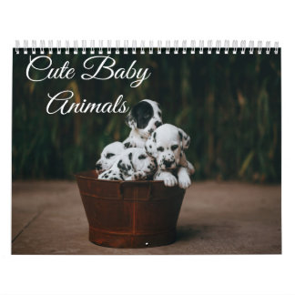 Calendrier des animaux mignons pour bébés