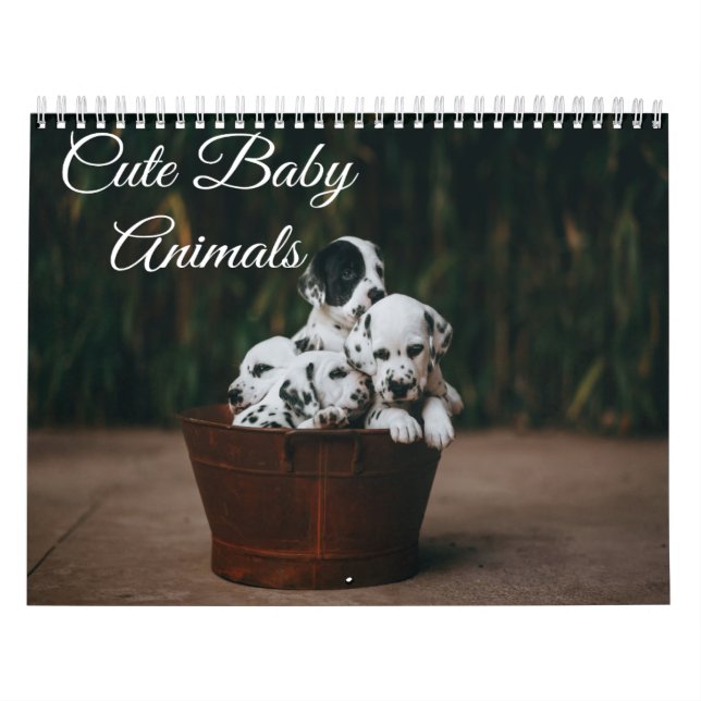 Calendrier des animaux mignons pour bébés (Protection)