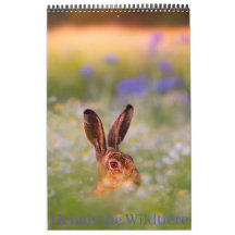 Calendrier des animaux sauvages indigènes