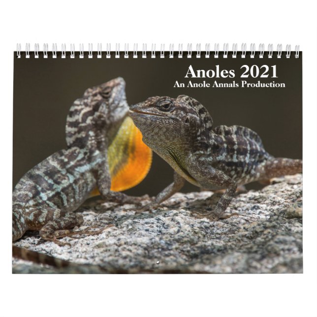 Calendrier des anneaux 2021 (Protection)