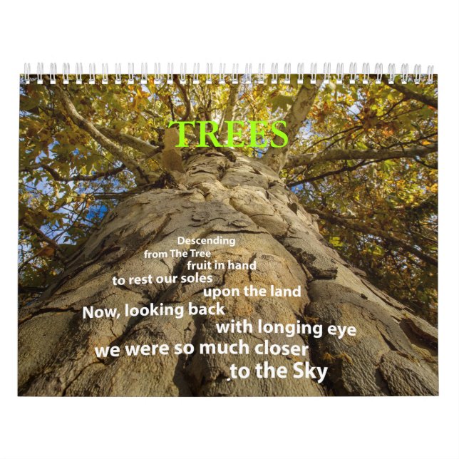 Calendrier des arbres (Protection)