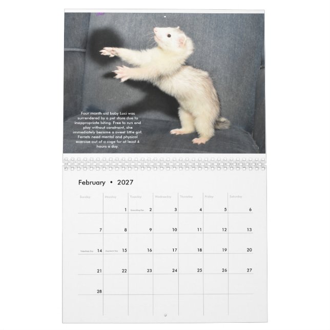 Calendrier des avantages Secours Ferret (Feb 2027)