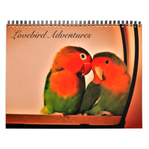Calendrier des aventures Lovebird