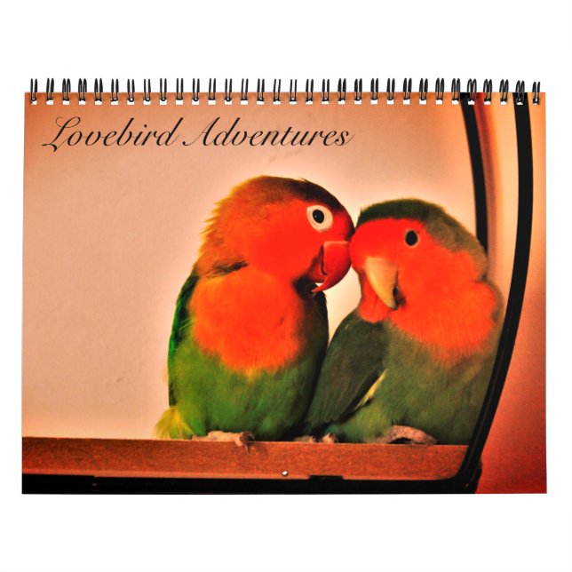 Calendrier des aventures Lovebird (Protection)