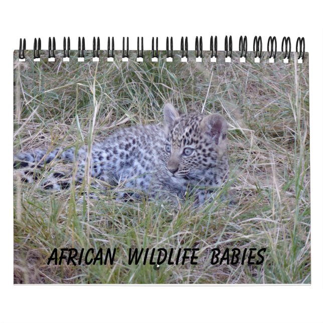 CALENDRIER DES BÉBÉS DE LA FAUNE AFRICAINE (Protection)