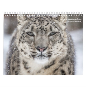 Calendrier des Big Cats