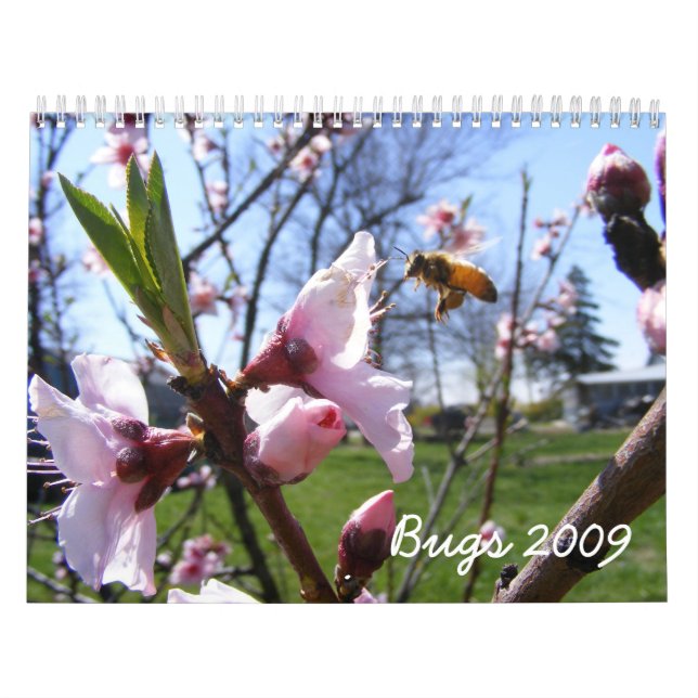 Calendrier des bogues personnalisable (Protection)