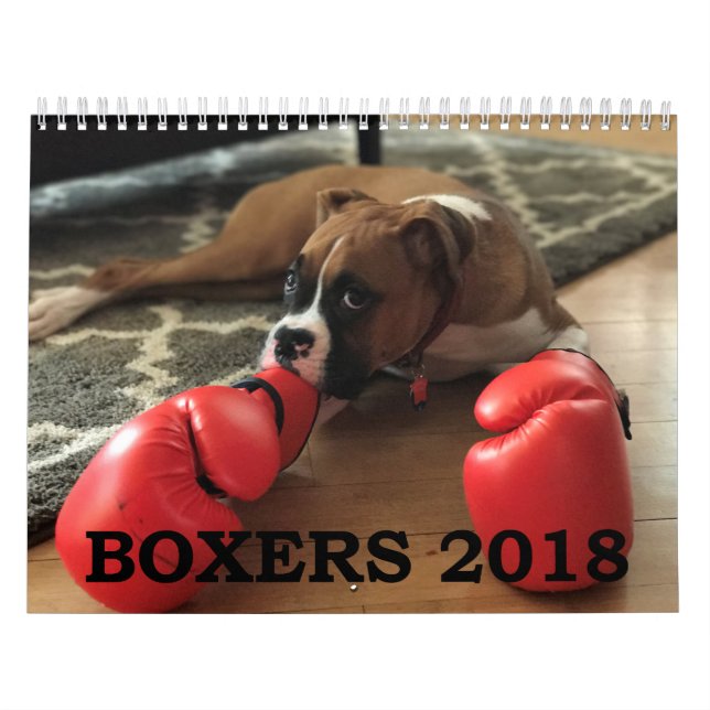 CALENDRIER DES BOXEURS 2018 (Protection)