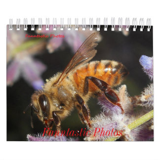 Calendrier des Bugs et Fleurs