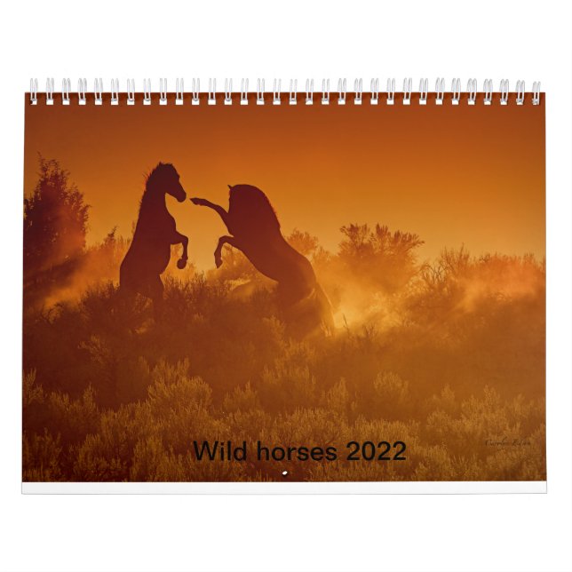 calendrier des calandres de mustang sauvage 2020 (Protection)