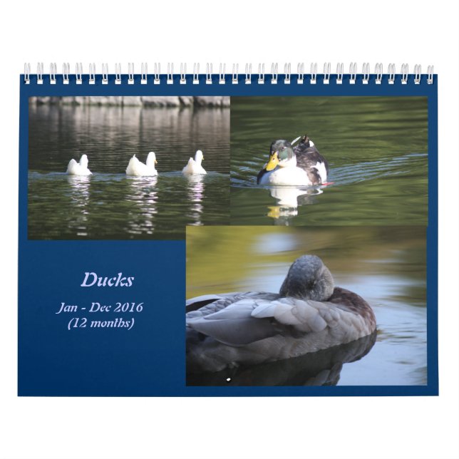 Calendrier des Canards 2016 (Protection)