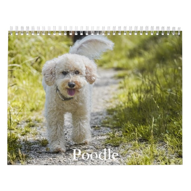 Calendrier des canicules (Protection)