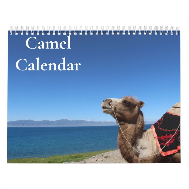 Calendrier des chameaux 2027 (Protection)