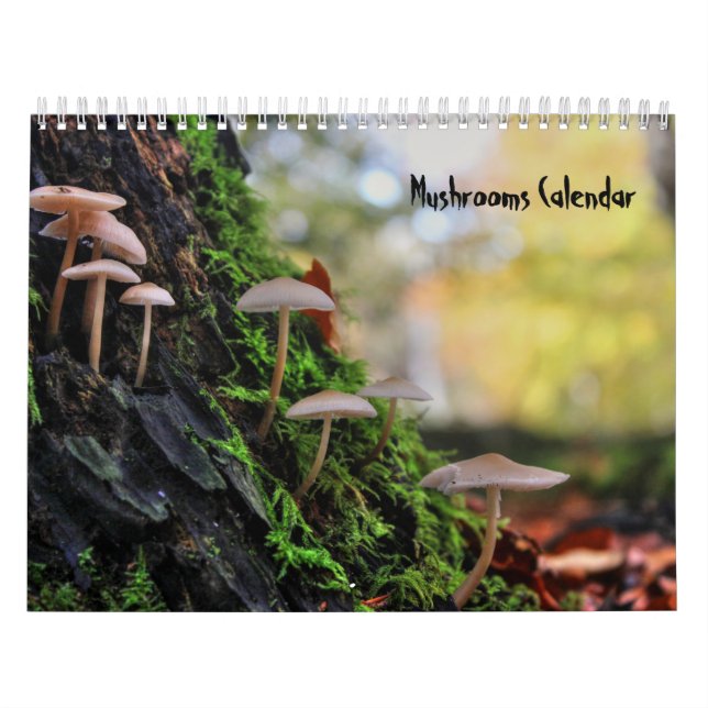 Calendrier des champignons (Protection)