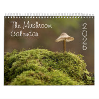 Calendrier des champignons pour 2025 Belles photos