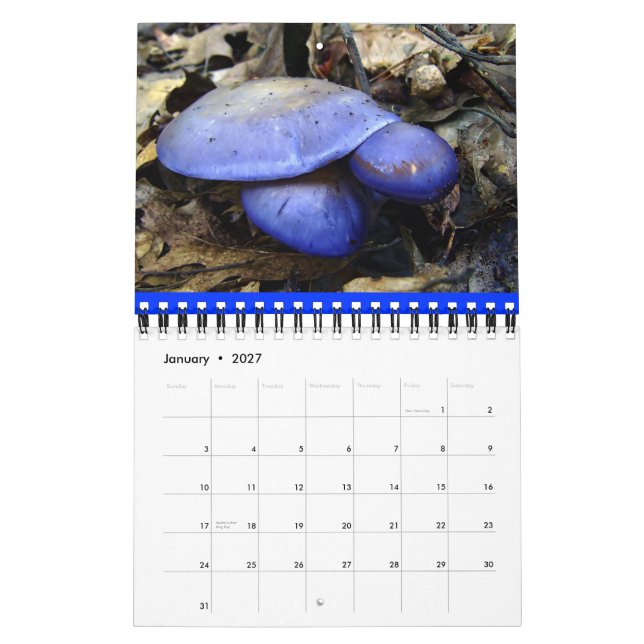 Calendrier des champignons Rainbow 2013 (Jan 2027)