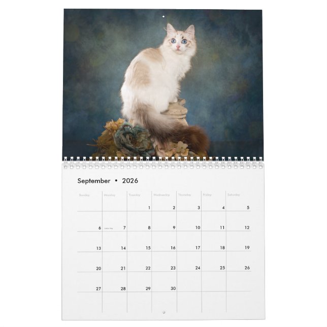 Calendrier des chatons de poupée douce (Sep 2026)