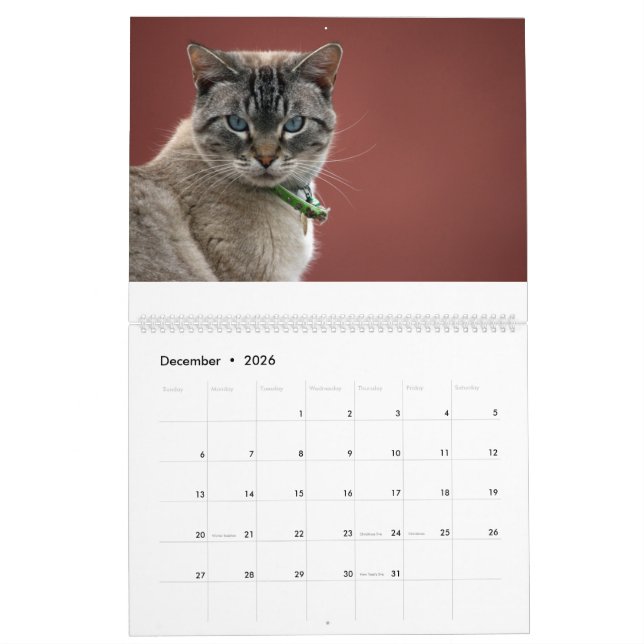 Calendrier des chats (Dec 2026)