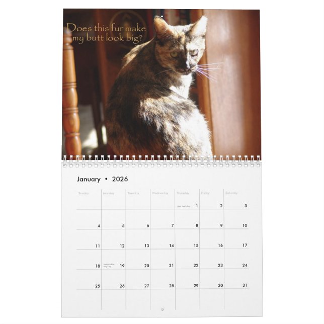 Calendrier des chats 2008 de LOL (Jan 2026)