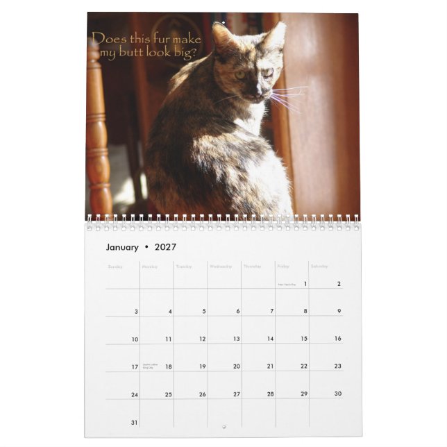Calendrier des chats 2008 de LOL (Jan 2027)