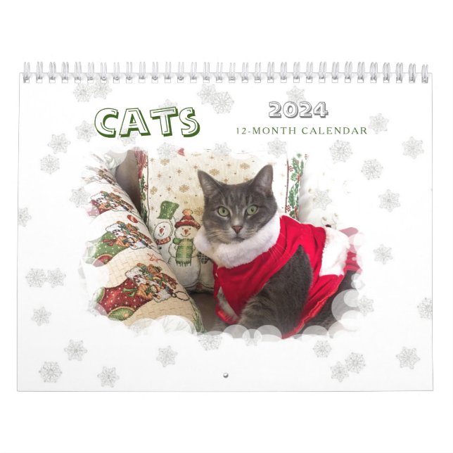 Calendrier des chats 2024 (Protection)