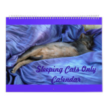 Calendrier des chats abyssiniques dormant - Extra