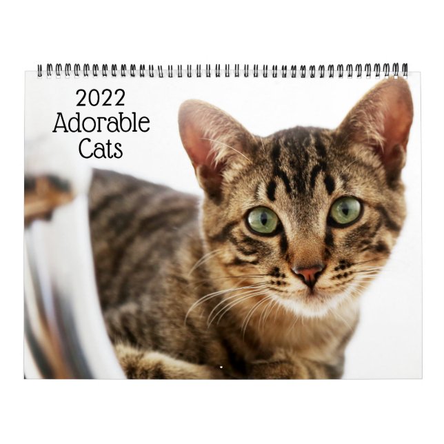 Calendrier des chats adorables 2022 (Protection)