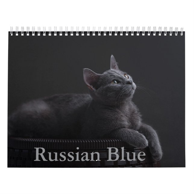 Calendrier des chats bleus russes (Protection)