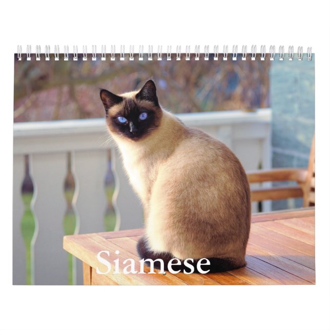 Calendrier des chats de Siamese (Protection)