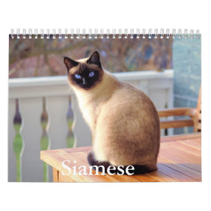 Calendrier des chats de Siamese