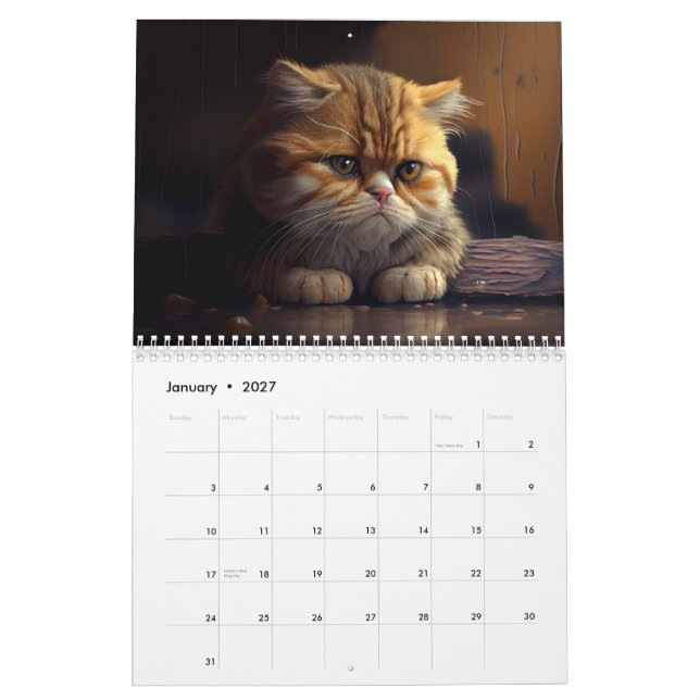 Calendrier des chats déprimés 2024 (Jan 2027)