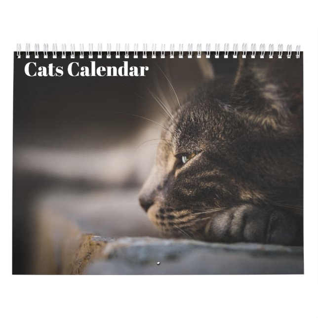 Calendrier des chats du Bengale 2025 (Protection)
