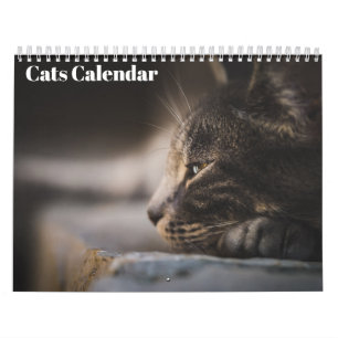 Calendrier des chats du Bengale 2025