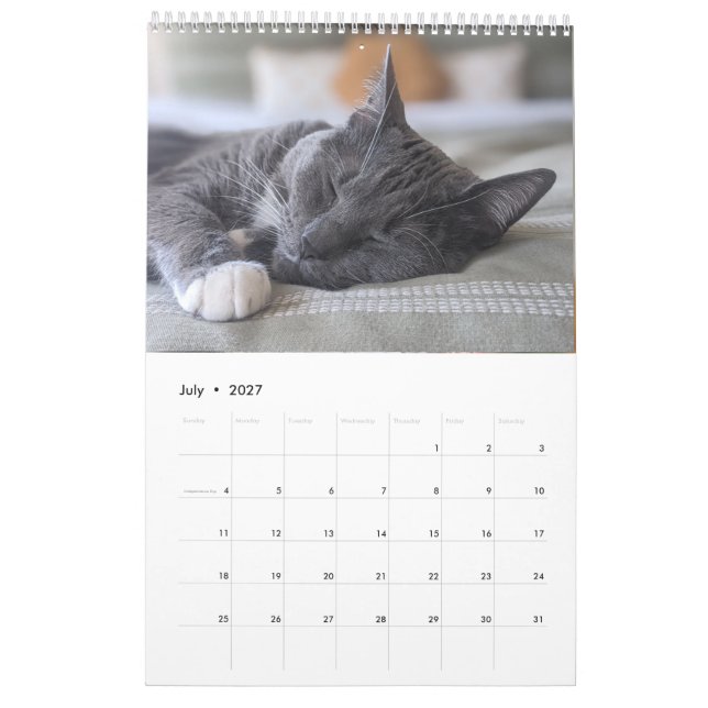 Calendrier des chats endormis (Jul 2027)