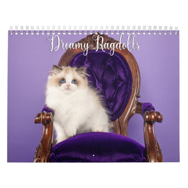 Calendrier des chats et chatons Ragdoll rêveurs (Protection)