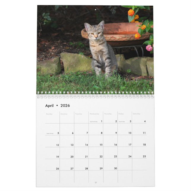 Calendrier des chats Kitty (Apr 2026)