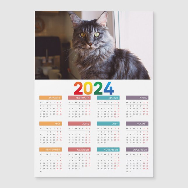 Calendrier des chats Maine Coon (Devant)