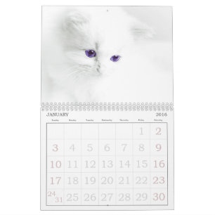 Calendrier des chats mignons