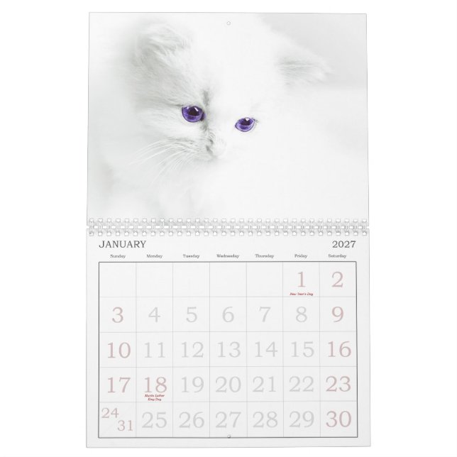 Calendrier des chats mignons (Jan 2027)