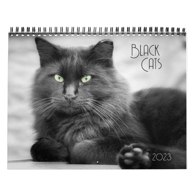 Calendrier des chats noirs (Protection)