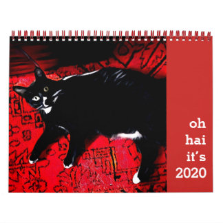 Calendrier des chats Oh Hai