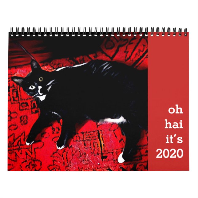 Calendrier des chats Oh Hai (Protection)