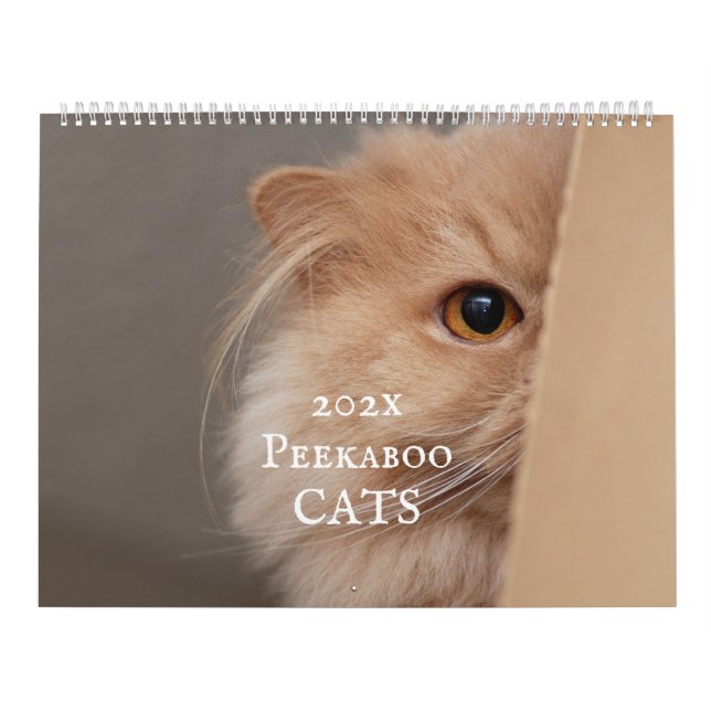 Calendrier des chats Peekaboo (Protection)