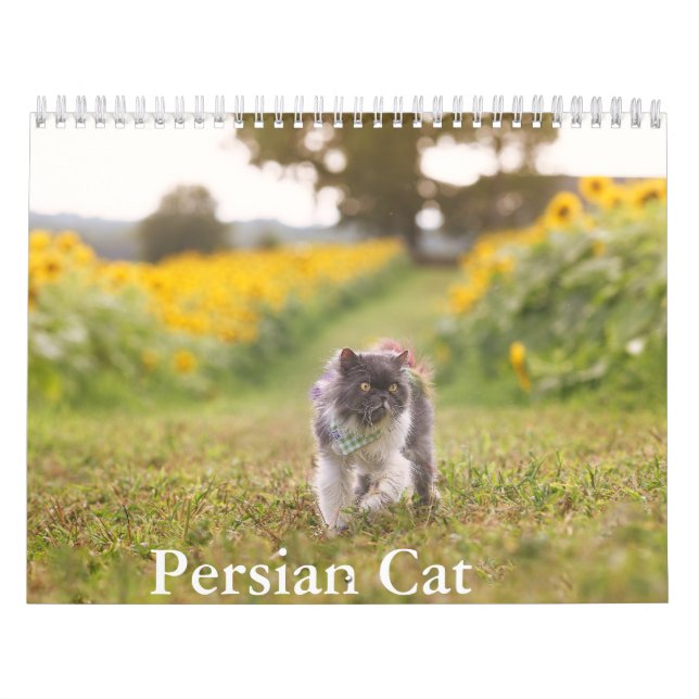 Calendrier des chats persans (Protection)