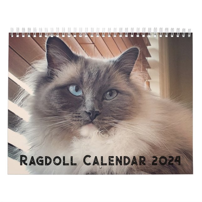 Calendrier des chats Ragdoll (Protection)