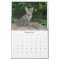 Calendrier des chats Serval Savannah